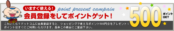 今すぐ使える！ポイントプレゼントキャンペーン！500ポイントGET